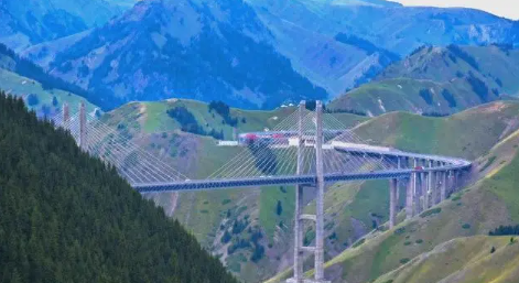 17679264563.png 17679264563.png