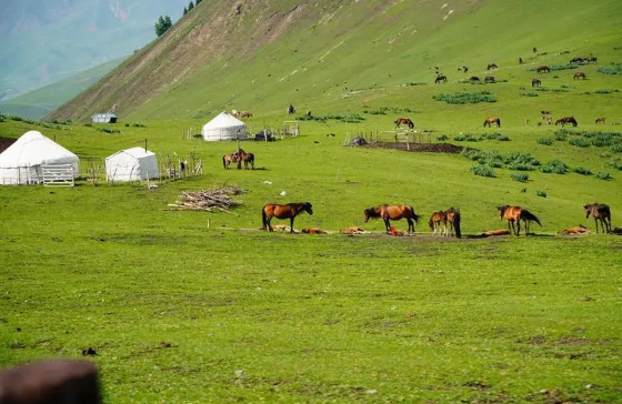 17679264579.png 17679264579.png